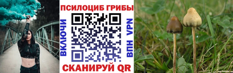 MEGA зеркало  Бобров  Галлюциногенные грибы Magic Shrooms 
